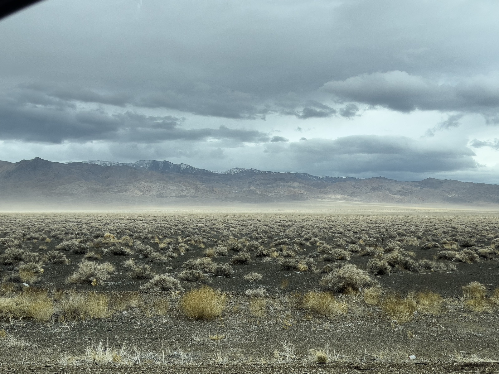 Desert landscape softened by hanging mist