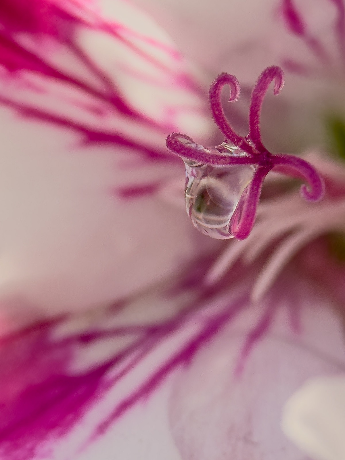 Macro close-up of a water droplet refracting light